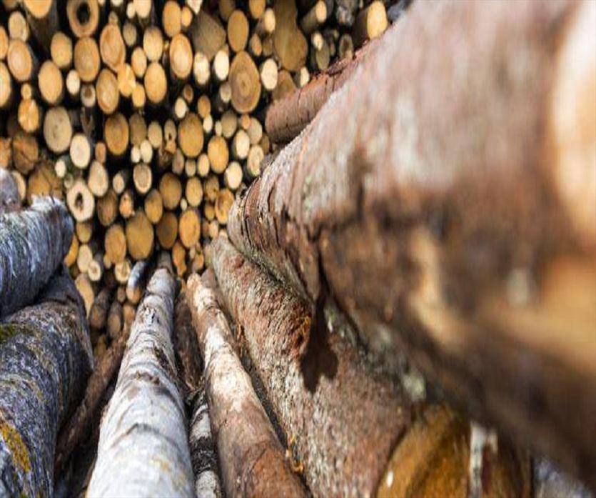 Urządzenia do obróbki drewna, Woodstock Firma usługowo-produkcyjno-handlowa Małgorzata Korecka, Olsztyn